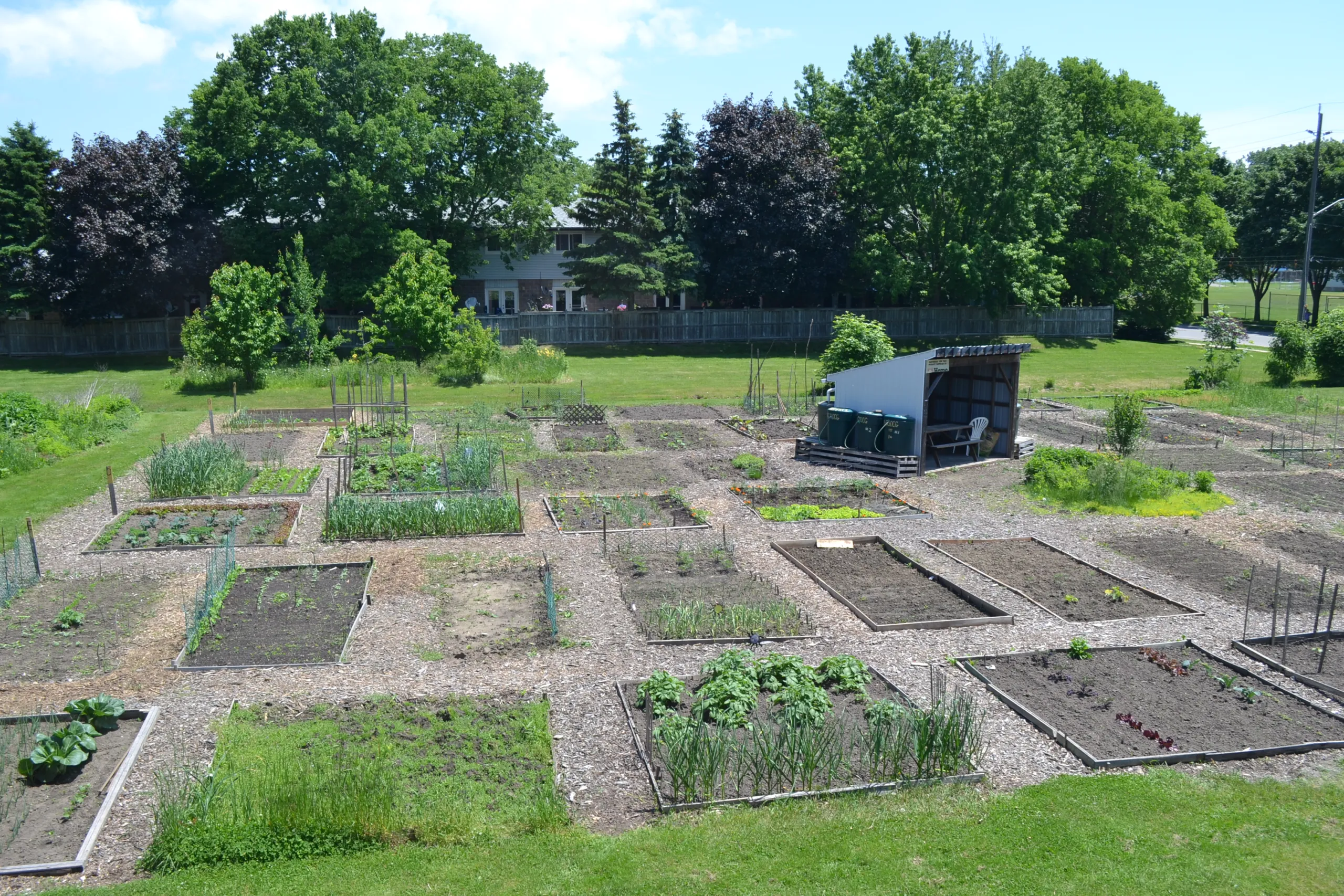 Community garden plots behind Friendship House