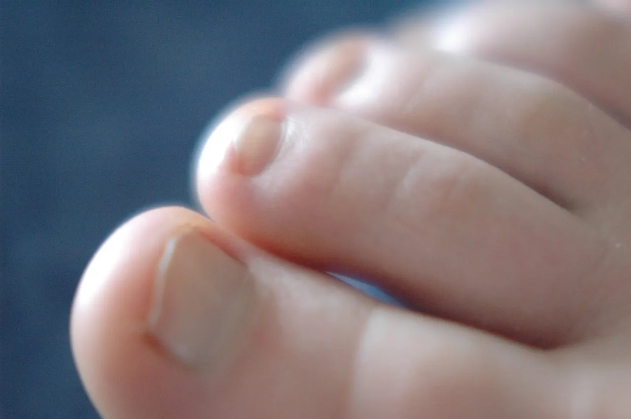 Close-up of toes